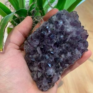 ✨ Large amethyst cluster ✨